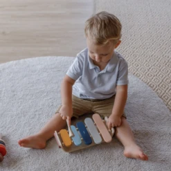 Plan Toys Oval Xylophone - Orchard - PT 6441 -Baby Product Sale 15 3908f6a8 b1ab 43ed aeb4 93ddccbf731f