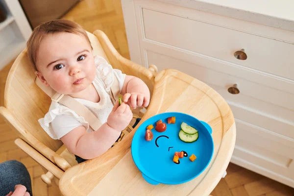 Matchstick Monkey Blue Monkey Plate & Bowl 6 Matchstick Monkey Blue Monkey Plate & Bowl - Image 4