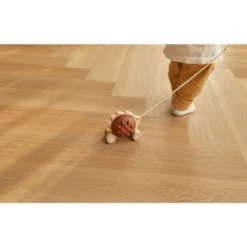 Plan Toys Pull Along Hedgehog Brown 11 Plan Toys Pull Along Hedgehog Brown -Baby Product Sale 4 3a19562d ec68 418c 883d 710e9eb6196b