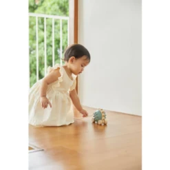 Plan Toys Pull Along Hedgehog Blue -Baby Product Sale 4 e66c0c83 bcee 4431 a151 d6e34b05d564